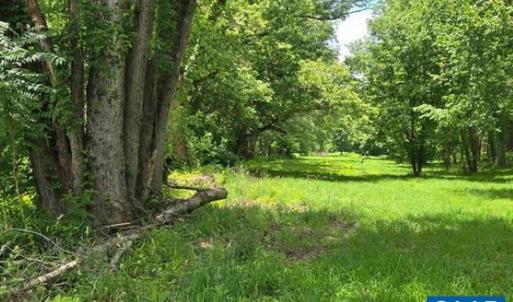 Photo #9 of JAMES RIVER RD, WINGINA, VA 36.9 acres
