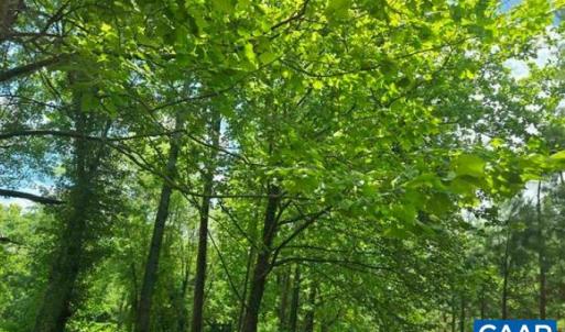 Photo #14 of JAMES RIVER RD, WINGINA, VA 36.9 acres