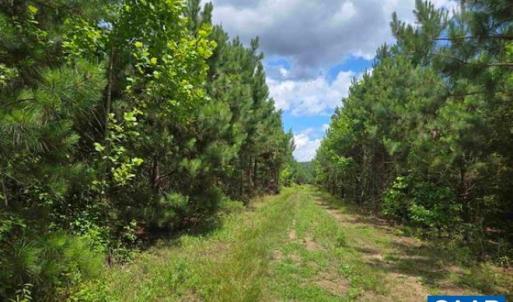Photo #15 of JAMES RIVER RD, WINGINA, VA 36.9 acres