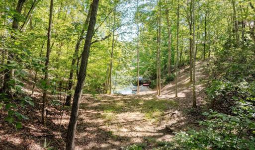 Photo #17 of 48 SMOKEWOOD DR, PALMYRA, VA 0.6 acres