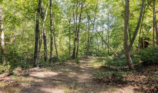 Photo #15 of 48 SMOKEWOOD DR, PALMYRA, VA 0.6 acres