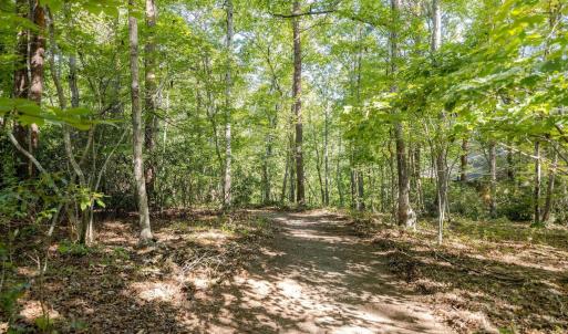 Photo #16 of 48 SMOKEWOOD DR, PALMYRA, VA 0.6 acres