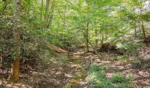 Photo #19 of 48 SMOKEWOOD DR, PALMYRA, VA 0.6 acres