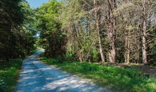 Photo #12 of TBD RIVERVIEW DR, LURAY, VA 1.5 acres
