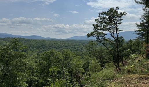 ...from Top of Ridge - 7.18 Acres Building Lot in Nature Lover's Paradise!  Fiber Internet!