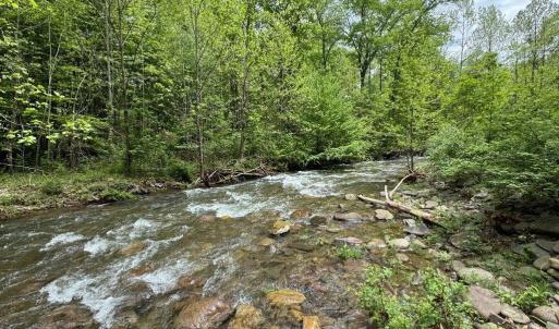 ...Native Brook Trout