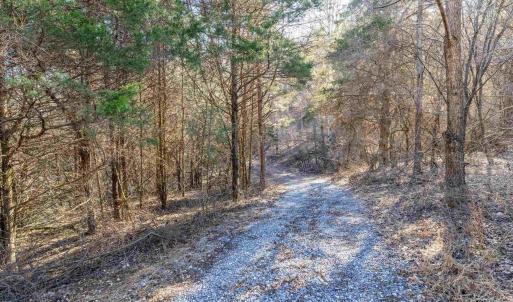 Photo #6 of TBD STILL HOUSE DR, LEXINGTON, VA 4.1 acres