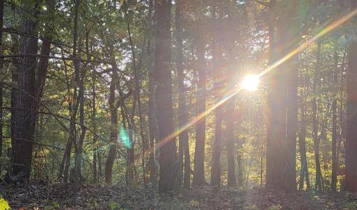 Photo #4 of LERNER LN, BASYE, VA 0.3 acres