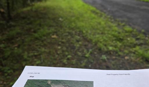 Photo #5 of LERNER LN, BASYE, VA 0.3 acres