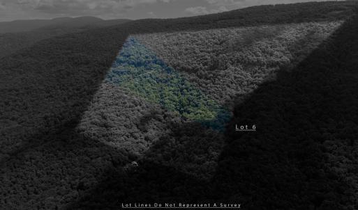 Photo #5 of 180 BEAR PATH LN, LYNDHURST, VA 27.7 acres