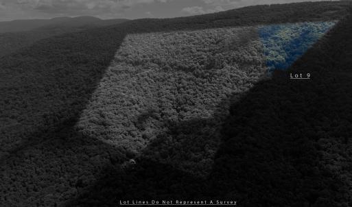 Photo #8 of 180 BEAR PATH LN, LYNDHURST, VA 27.7 acres