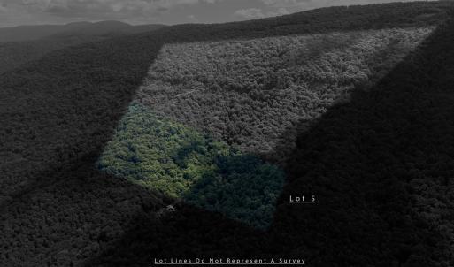 Photo #4 of 180 BEAR PATH LN, LYNDHURST, VA 27.7 acres