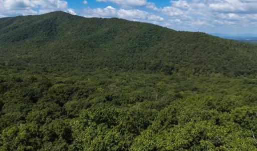 Photo #2 of 180 BEAR PATH LN, LYNDHURST, VA 27.7 acres