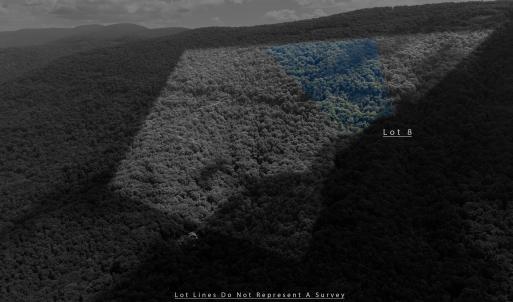 Photo #7 of 180 BEAR PATH LN, LYNDHURST, VA 27.7 acres