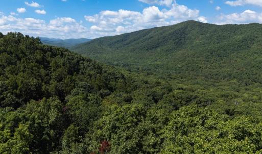 Photo #1 of 180 BEAR PATH LN, LYNDHURST, VA 27.7 acres