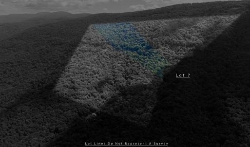 Photo #6 of 180 BEAR PATH LN, LYNDHURST, VA 27.7 acres