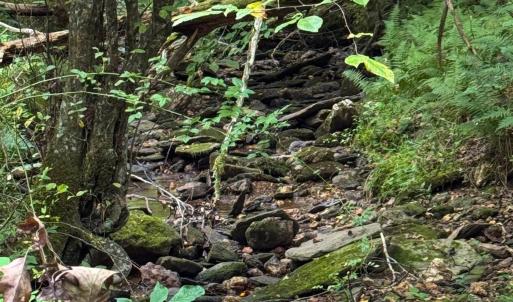 Photo #6 of TBA OLD GREEN MOUNTAIN RD, ESMONT, VA 57.7 acres