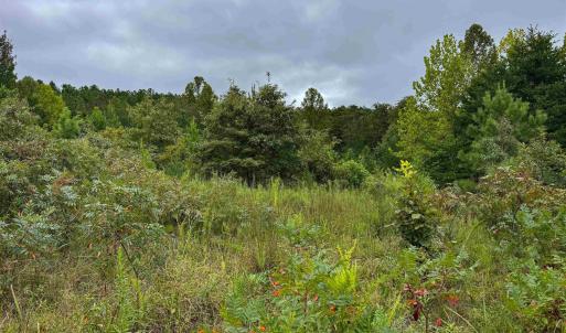 Photo #12 of TBA OLD GREEN MOUNTAIN RD, ESMONT, VA 57.7 acres