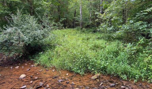 Photo #5 of TBA OLD GREEN MOUNTAIN RD, ESMONT, VA 57.7 acres