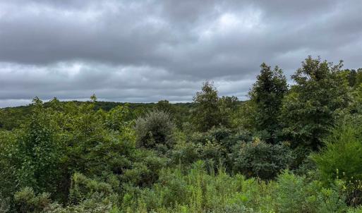 Photo #10 of TBA OLD GREEN MOUNTAIN RD, ESMONT, VA 57.7 acres