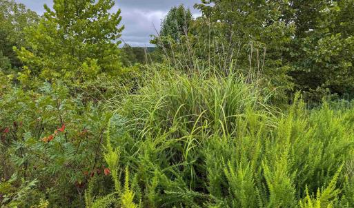 Photo #24 of TBA OLD GREEN MOUNTAIN RD, ESMONT, VA 57.7 acres