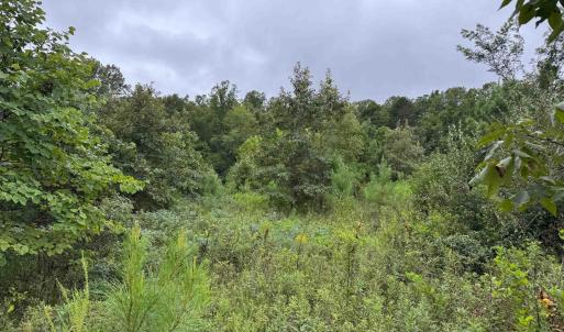 Photo #15 of TBA OLD GREEN MOUNTAIN RD, ESMONT, VA 57.7 acres