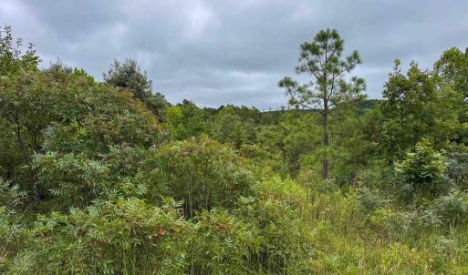 Photo #28 of TBA OLD GREEN MOUNTAIN RD, ESMONT, VA 57.7 acres