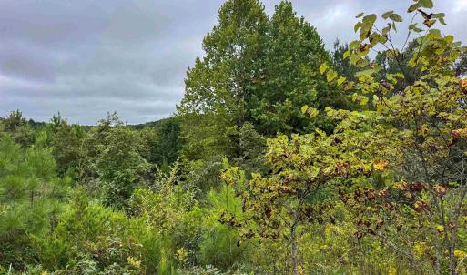 Photo #14 of TBA OLD GREEN MOUNTAIN RD, ESMONT, VA 57.7 acres