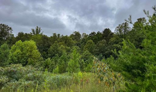 Photo #27 of TBA OLD GREEN MOUNTAIN RD, ESMONT, VA 57.7 acres