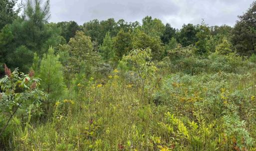 Photo #23 of TBA OLD GREEN MOUNTAIN RD, ESMONT, VA 57.7 acres
