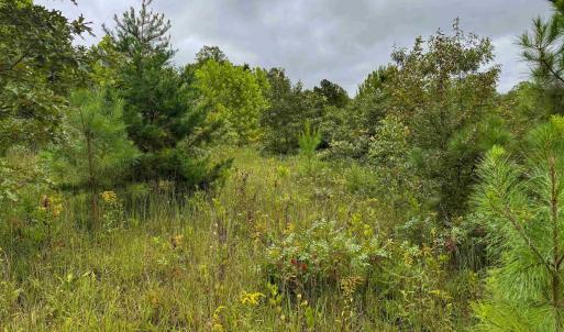 Photo #25 of TBA OLD GREEN MOUNTAIN RD, ESMONT, VA 57.7 acres
