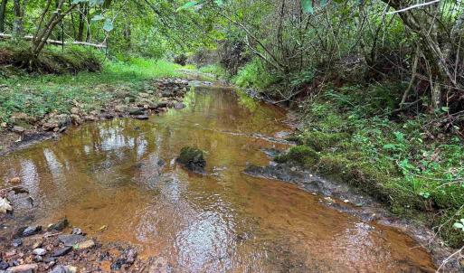 Photo #2 of TBA OLD GREEN MOUNTAIN RD, ESMONT, VA 57.7 acres