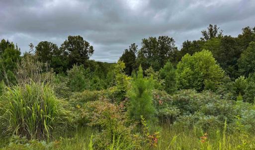 Photo #26 of TBA OLD GREEN MOUNTAIN RD, ESMONT, VA 57.7 acres