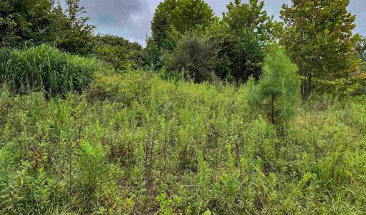 Photo #30 of TBA OLD GREEN MOUNTAIN RD, ESMONT, VA 57.7 acres