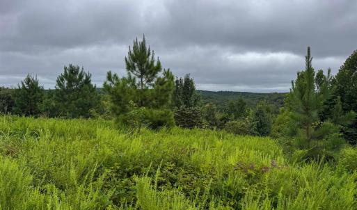 Photo #8 of TBA OLD GREEN MOUNTAIN RD, ESMONT, VA 57.7 acres