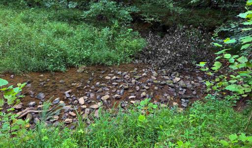 Photo #3 of TBA OLD GREEN MOUNTAIN RD, ESMONT, VA 57.7 acres