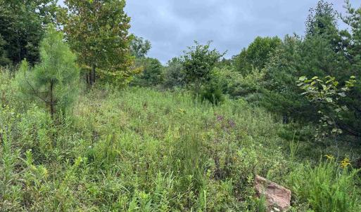 Photo #31 of TBA OLD GREEN MOUNTAIN RD, ESMONT, VA 57.7 acres