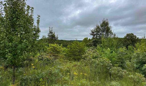 Photo #11 of TBA OLD GREEN MOUNTAIN RD, ESMONT, VA 57.7 acres