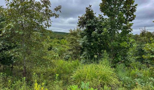 Photo #29 of TBA OLD GREEN MOUNTAIN RD, ESMONT, VA 57.7 acres