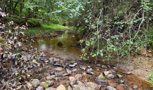 Photo #1 of TBA OLD GREEN MOUNTAIN RD, ESMONT, VA 57.7 acres