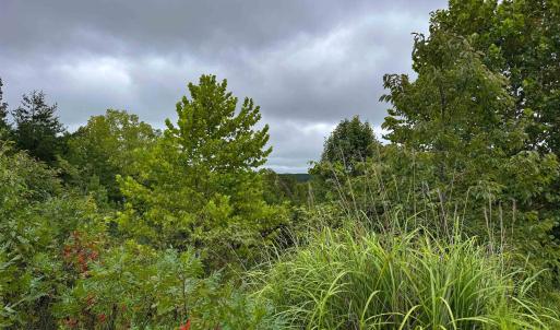 Photo #13 of TBA OLD GREEN MOUNTAIN RD, ESMONT, VA 57.7 acres