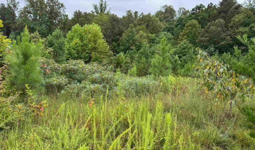 Photo #22 of TBA OLD GREEN MOUNTAIN RD, ESMONT, VA 57.7 acres