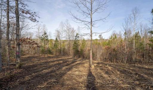 Photo #12 of 3860-5 GILBERT STATION RD, BARBOURSVILLE, VA 3.5 acres