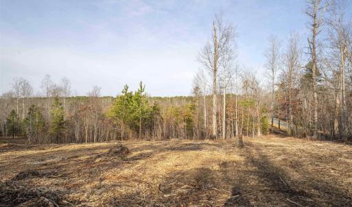 Photo #10 of 3860-5 GILBERT STATION RD, BARBOURSVILLE, VA 3.5 acres