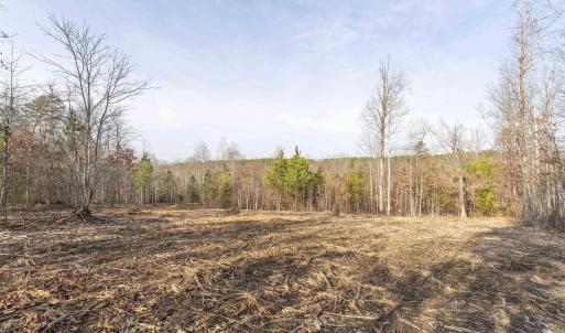Photo #9 of 3860-5 GILBERT STATION RD, BARBOURSVILLE, VA 3.5 acres