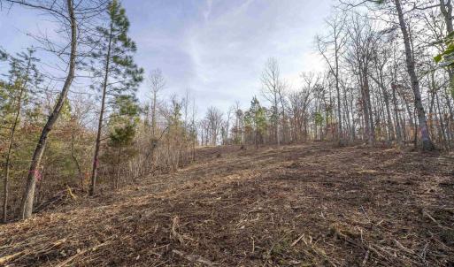 Photo #15 of 3860-5 GILBERT STATION RD, BARBOURSVILLE, VA 3.5 acres