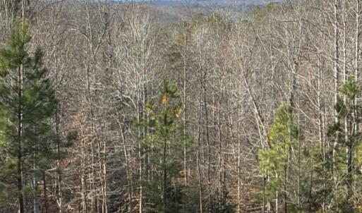 Photo #3 of 3860-5 GILBERT STATION RD, BARBOURSVILLE, VA 3.5 acres