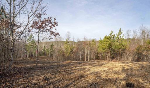 Photo #11 of 3860-5 GILBERT STATION RD, BARBOURSVILLE, VA 3.5 acres
