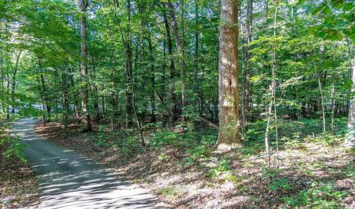 Photo #15 of STONEY CREEK WEST, NELLYSFORD, VA 1.0 acres