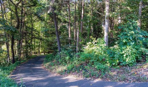 Photo #14 of STONEY CREEK WEST, NELLYSFORD, VA 1.0 acres